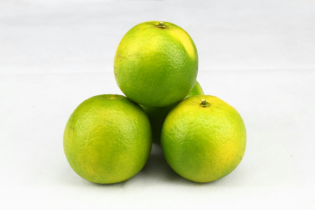 海南绿橙,即将上市